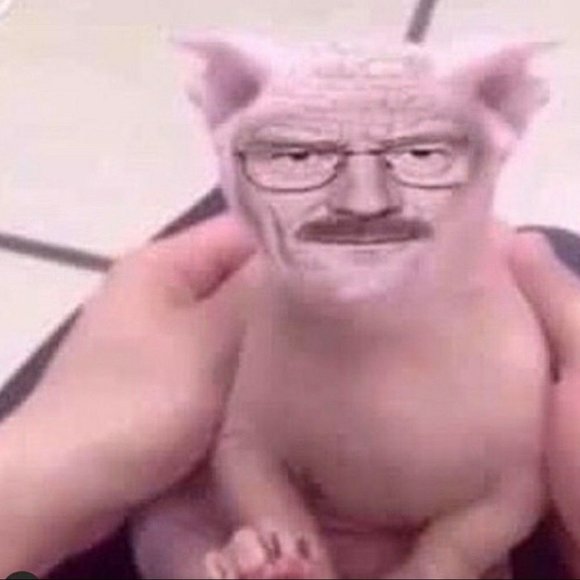 wsg - Picture 3 of 9